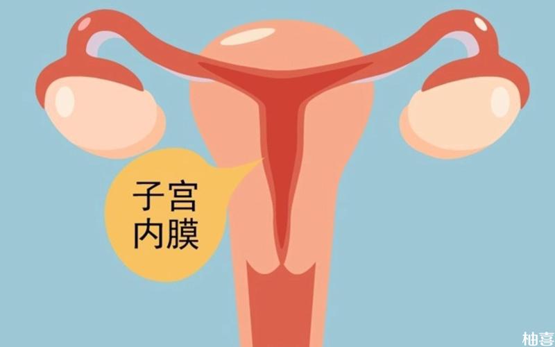 内膜不长