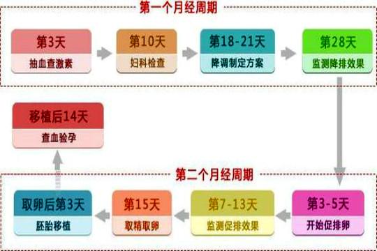 试管婴儿手术时长