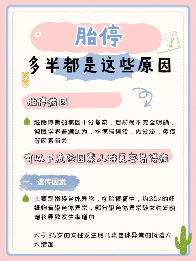 停孕原因