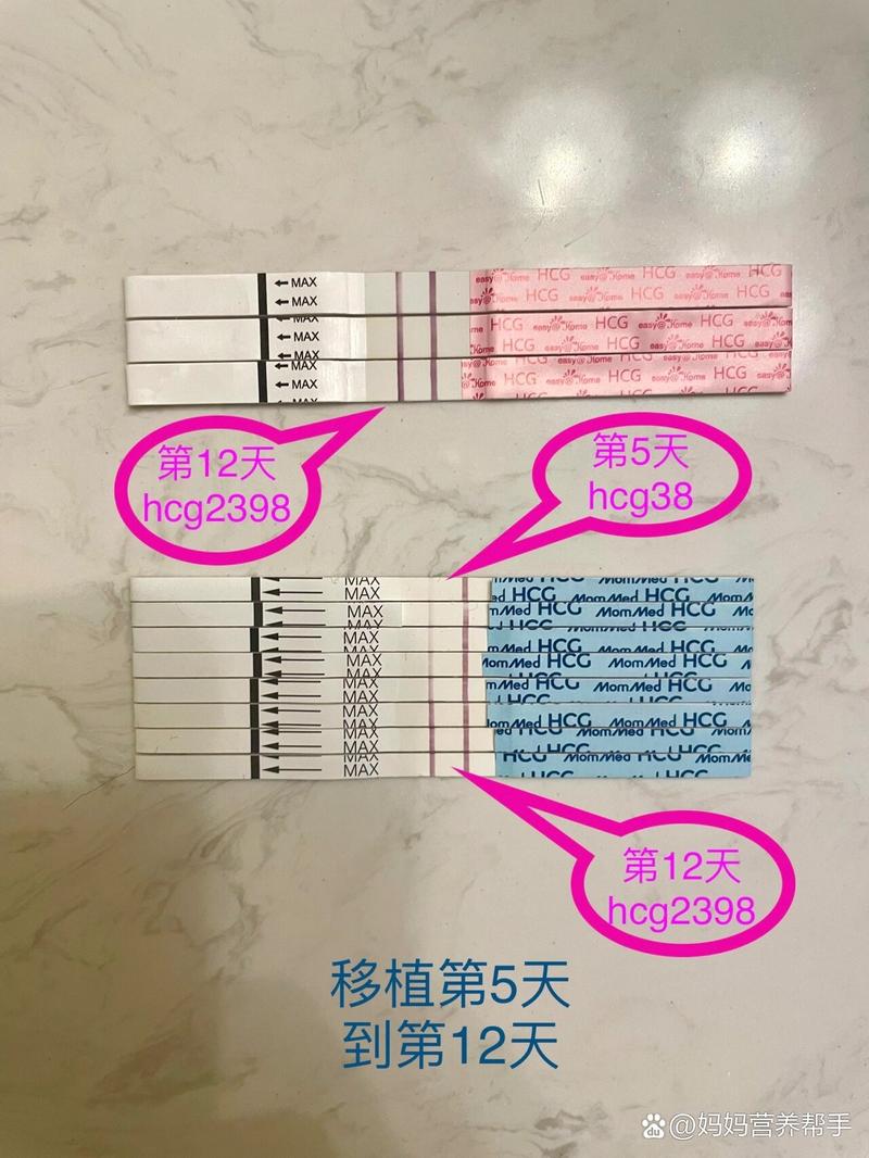 移植验血