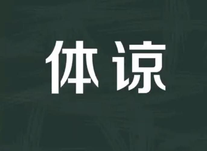 体谅
