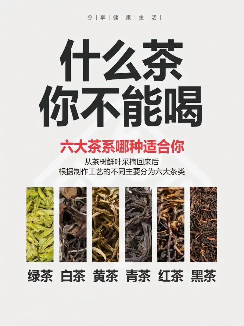  适宜人群