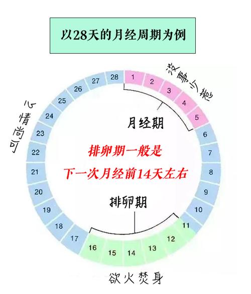 正常周期