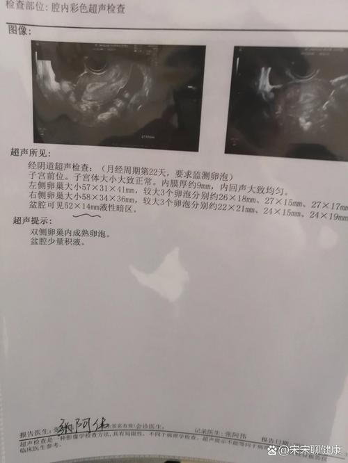 六个卵泡