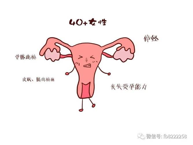 卵巢衰退