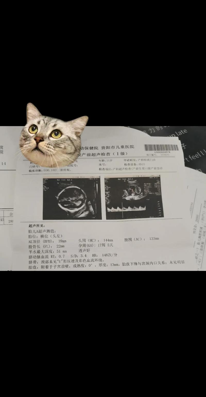  减胎选择