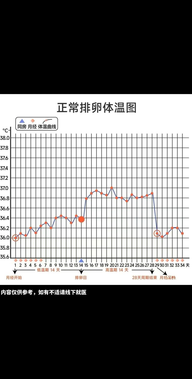 促排卵监测