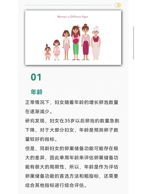  卵巢储备功能评估