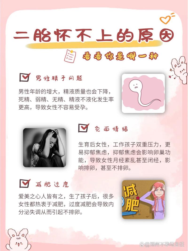 怀不上