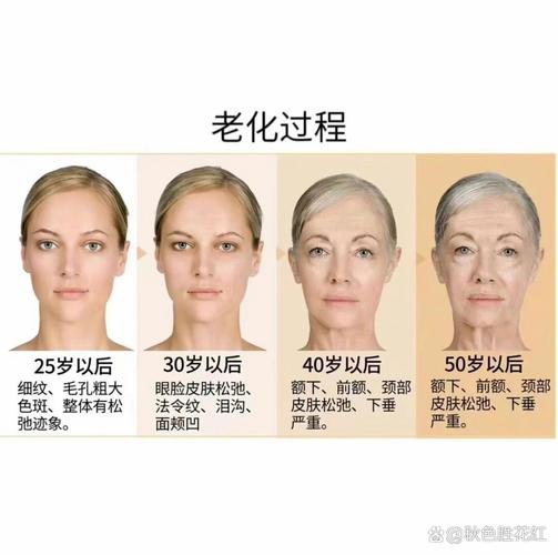  衰老过程