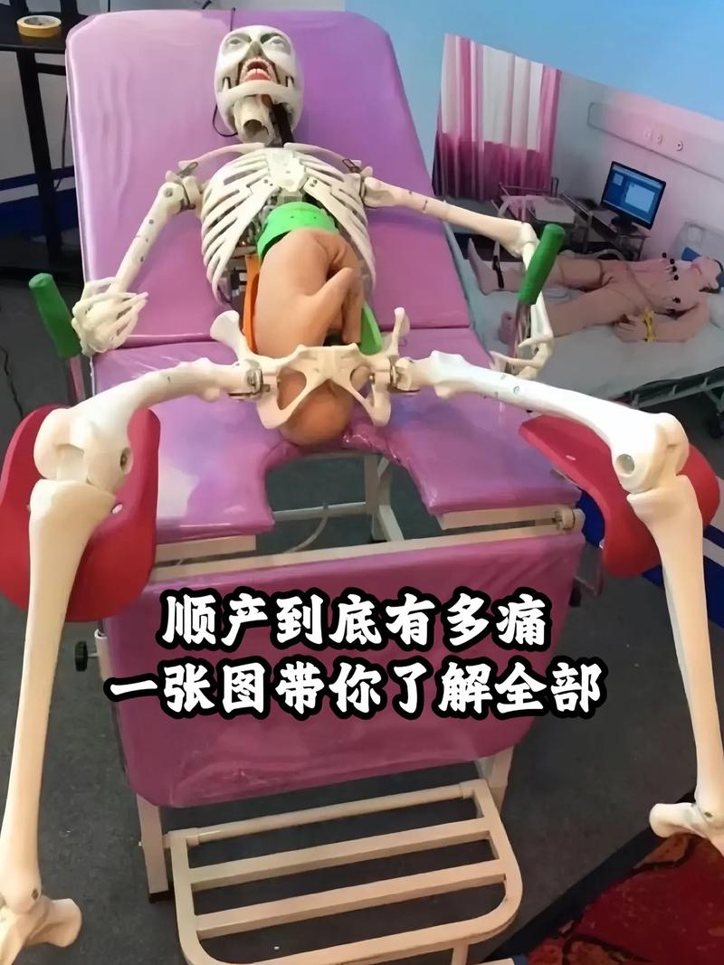 顺产一年