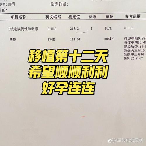 HCG试管技术