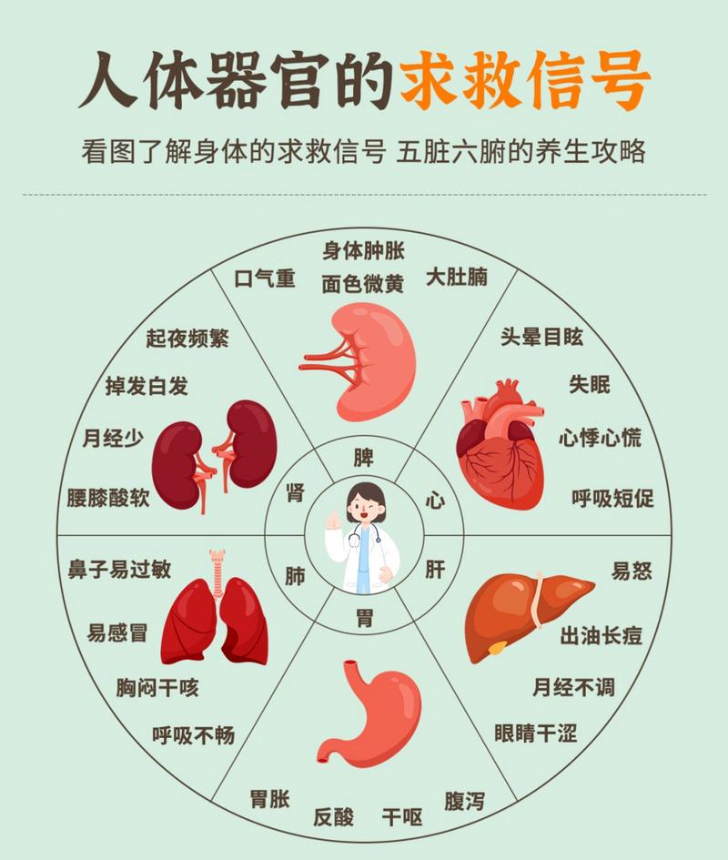 男性的身体健康