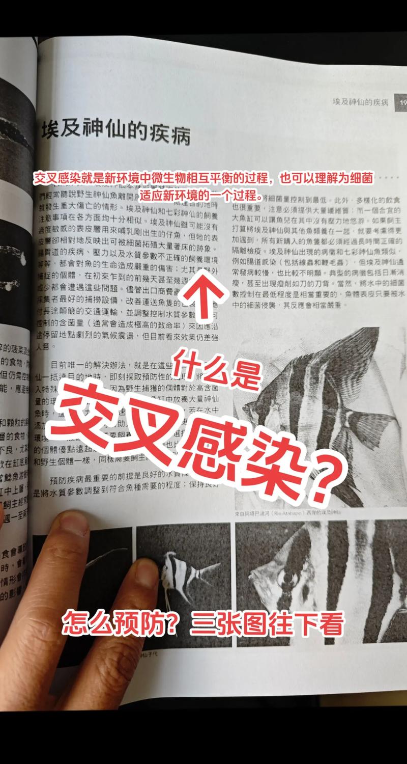 交叉感染