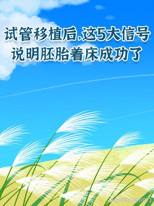 试管婴儿、移植后、胚胎着床、激素水平、医疗技术