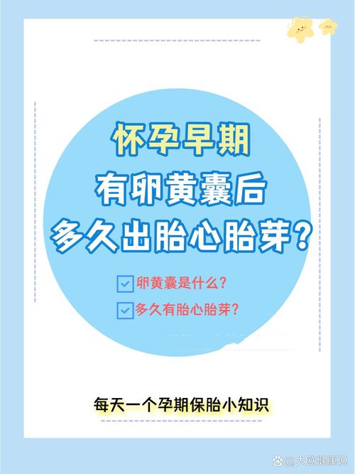 试管婴儿在三个月时为何才出现胎心？揭秘背后的原因和注意事项