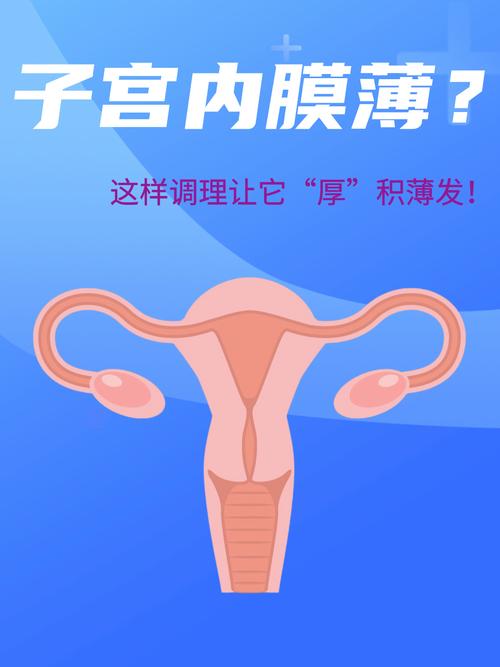  内膜薄