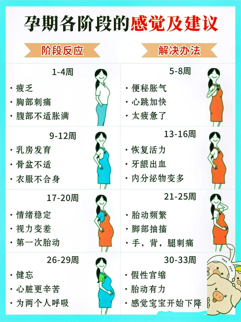 怀孕表现