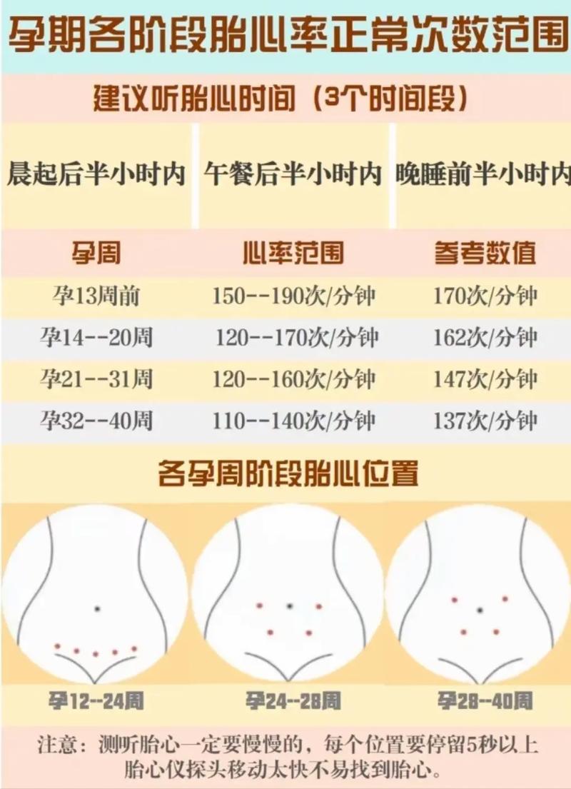 胎心时间