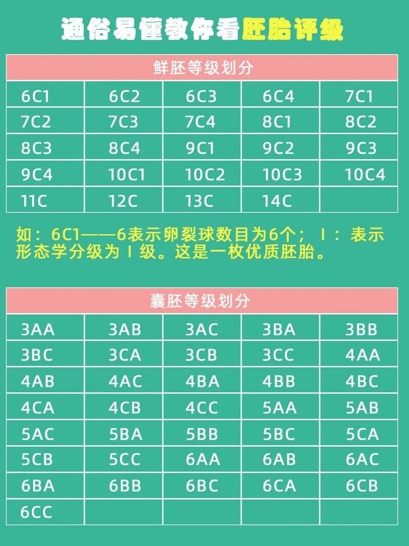 胚胎等级 4a