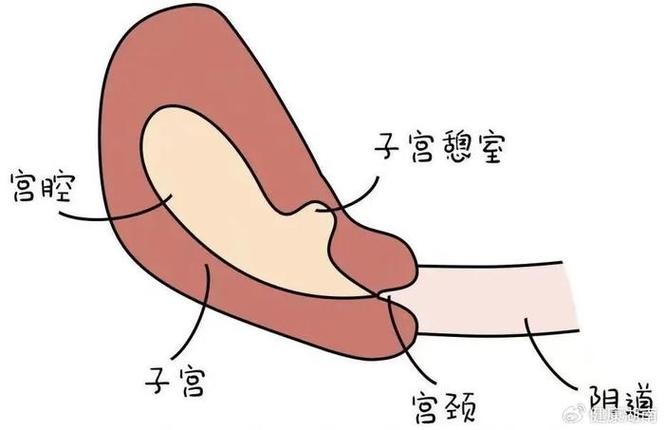 假腔技术