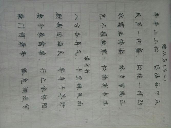 7 - 8 周