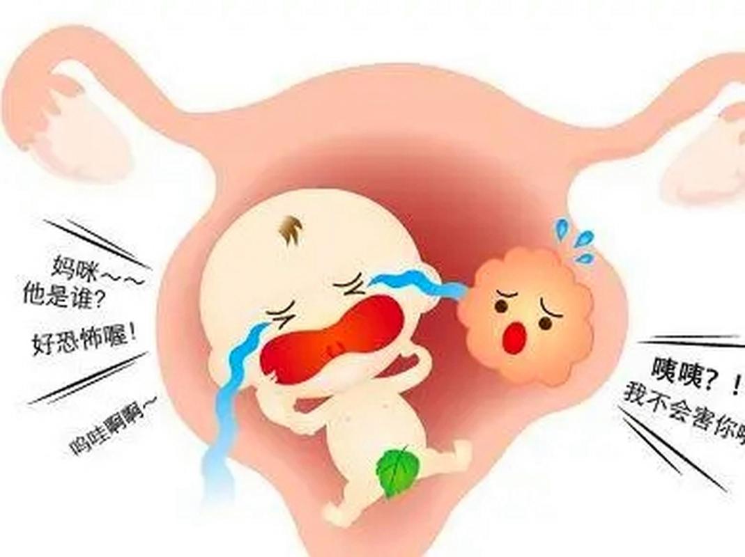影响怀孕