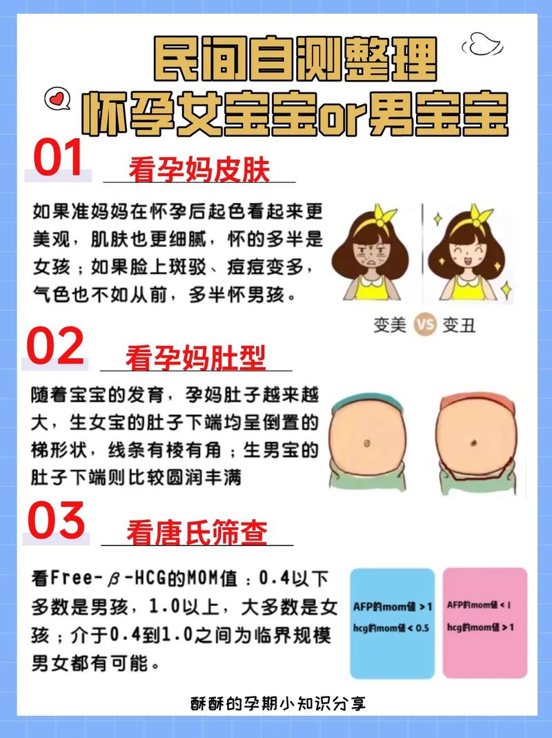 胎儿性别鉴定