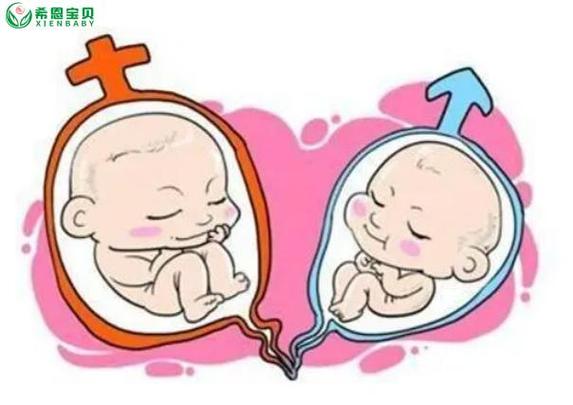 双胞胎是否一定是试管婴儿？深入探讨背后的真相