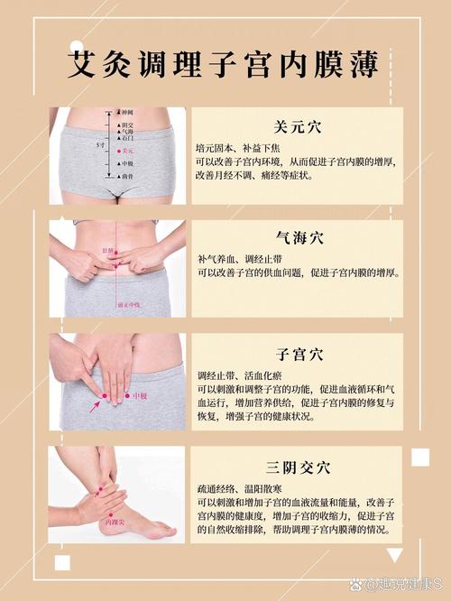 调内膜时间