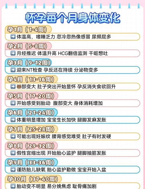 怀孕前三个月