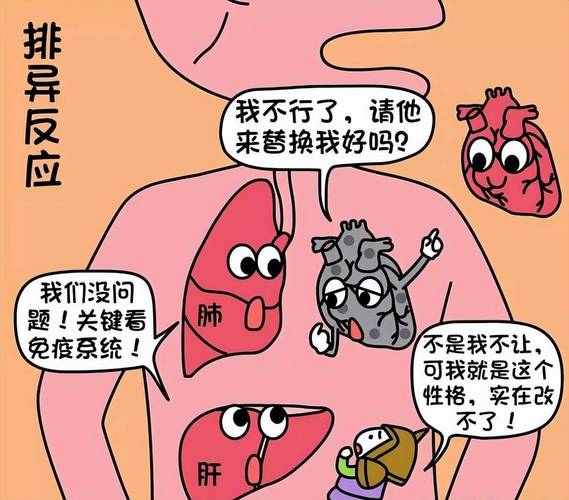避免排斥反应