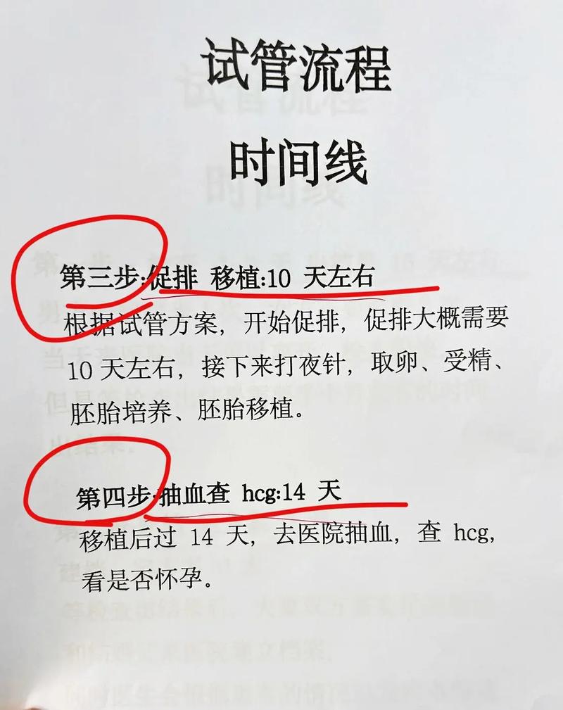 试管婴儿需要几周才能确认怀孕？详解过程与时间线