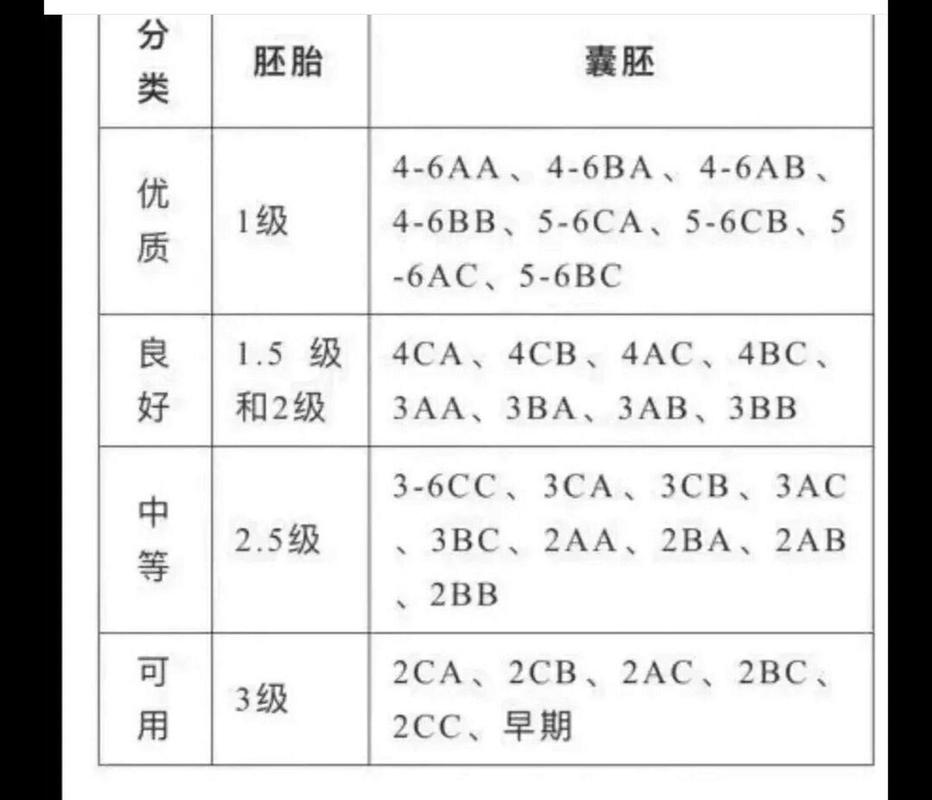 胚胎认定