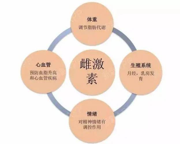  荷尔蒙