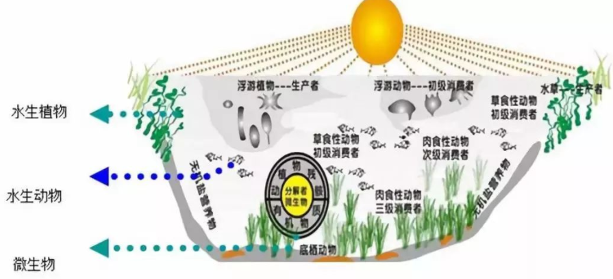 外界环境因素