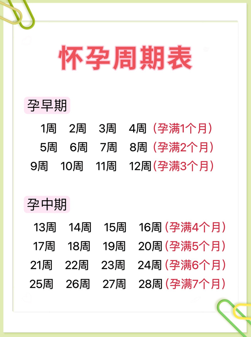 确认怀孕时间