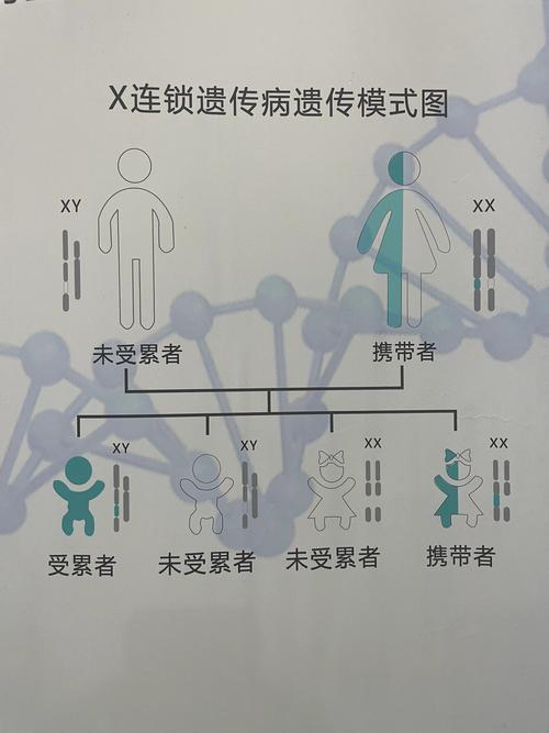 性连锁遗传病