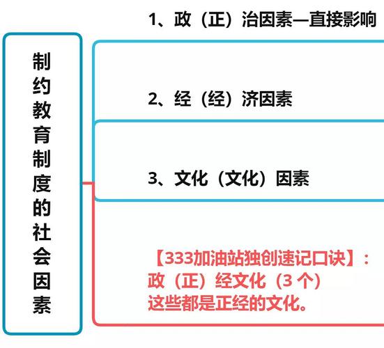  社会文化因素