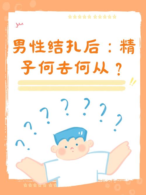精子去向