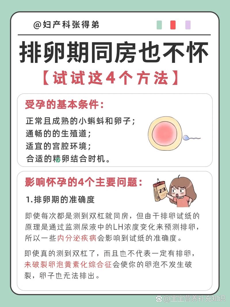 排卵期同房