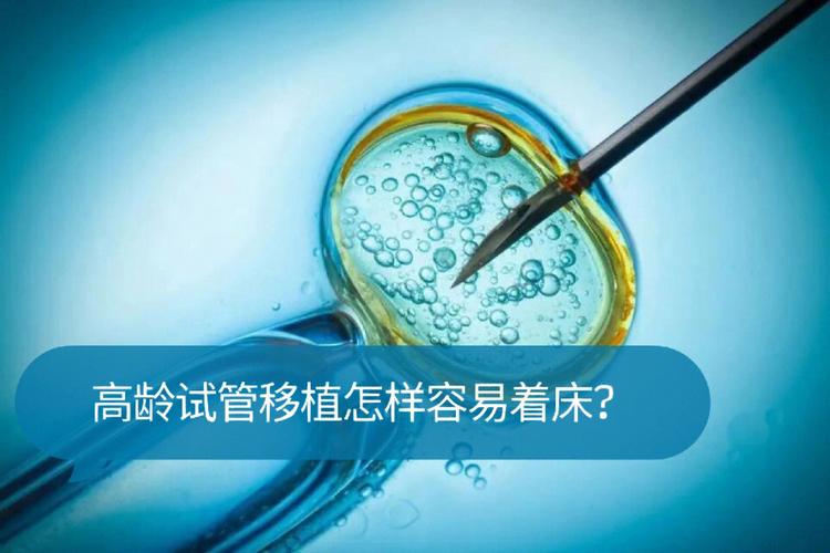 高龄试管