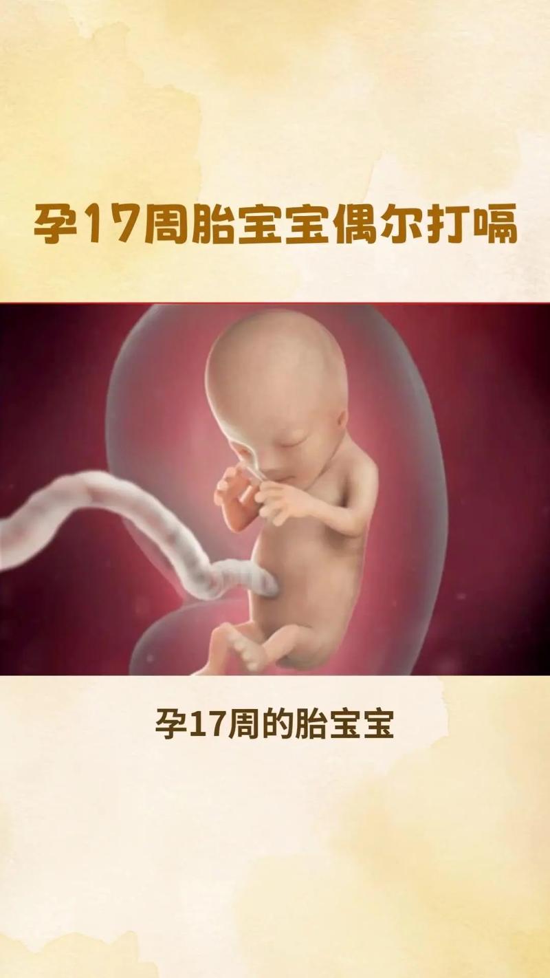 怀孕 17 周