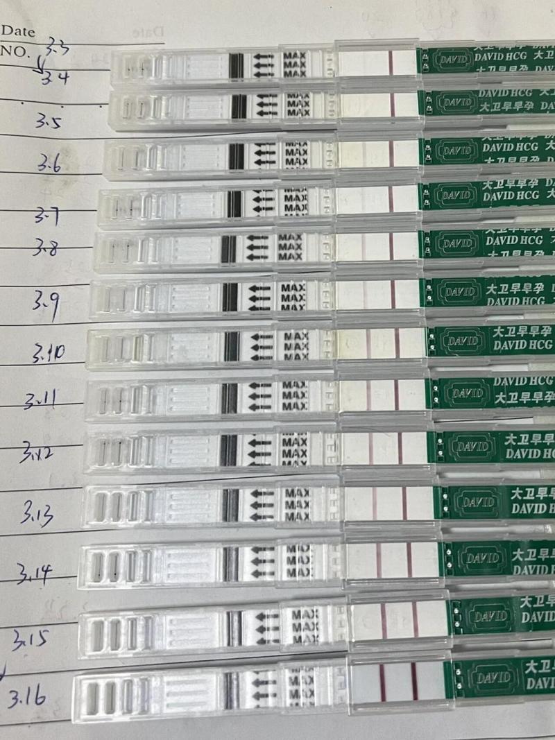 着床试纸