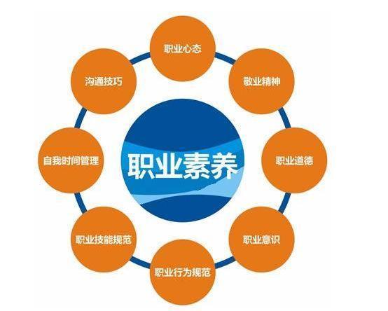  专业能力