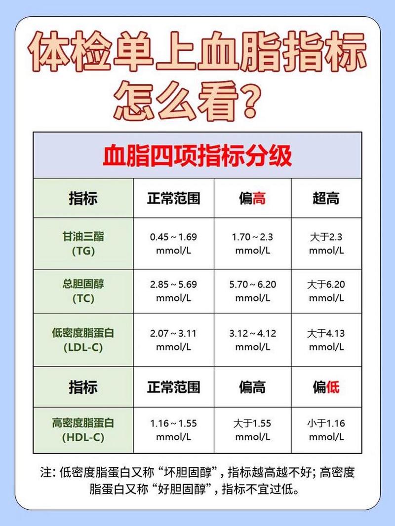 血脂
