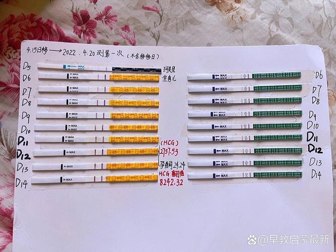 试管移植

好的
