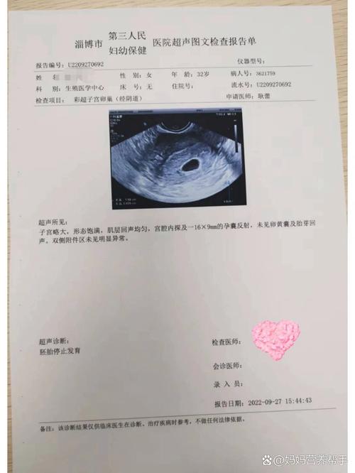 胚胎发育停止