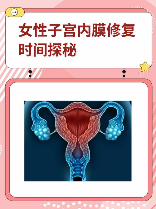 内膜恢复时间