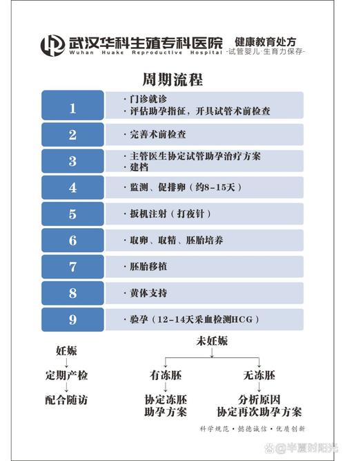 试管婴儿周期时间